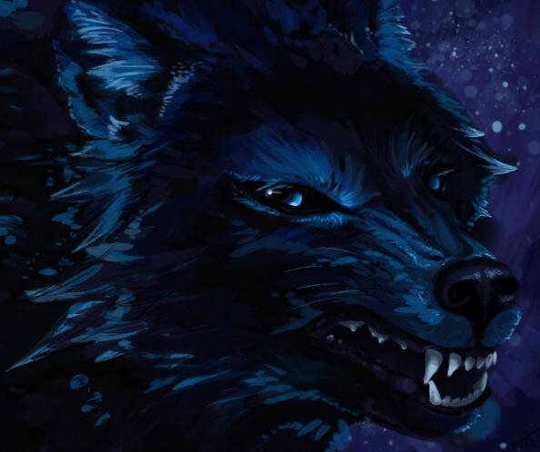 Blue Wolf